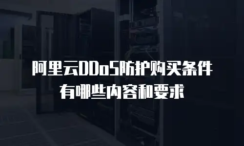 阿里云DDoS防护购买条件有哪些内容和要求