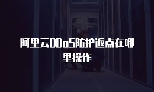 阿里云DDoS防护返点在哪里操作