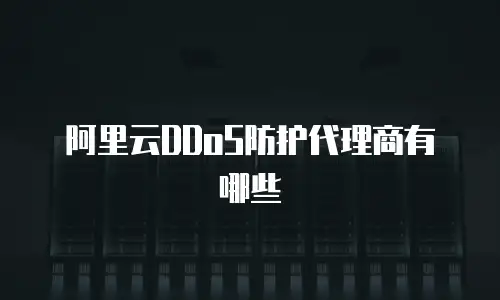 阿里云DDoS防护代理商有哪些