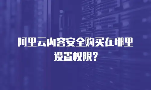 阿里云内容安全购买在哪里设置权限？