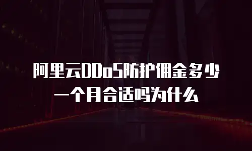 阿里云ddos防护佣金多少一个月合适吗,阿里云ddos防护佣金多少一个月合适吗为什么