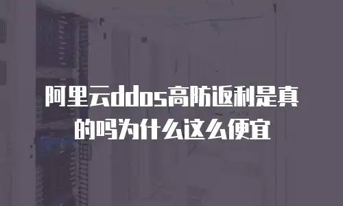 阿里云ddos高防返利是真的吗为什么这么便宜