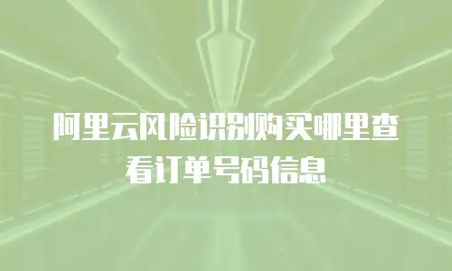阿里云风险识别购买哪里查看订单号码信息