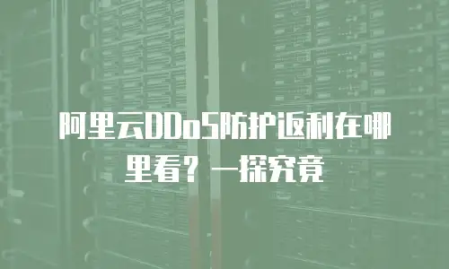 阿里云DDoS防护返利在哪里看？一探究竟