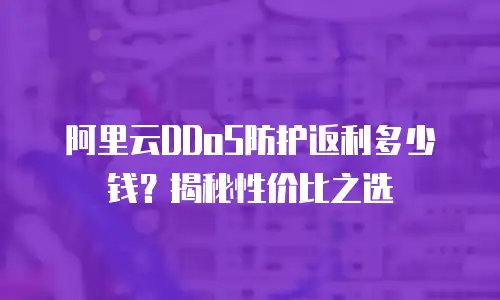 阿里云DDoS防护返利多少钱？揭秘性价比之选