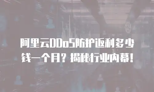 阿里云DDoS防护返利多少钱一个月？揭秘行业内幕！