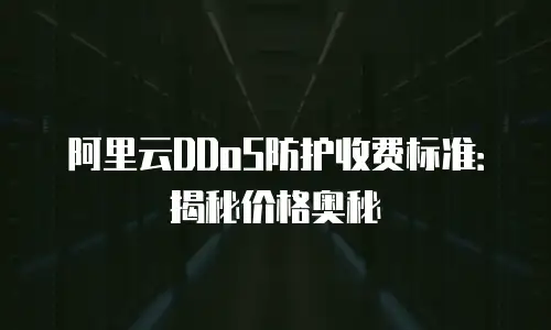 阿里云DDoS防护收费标准：揭秘价格奥秘
