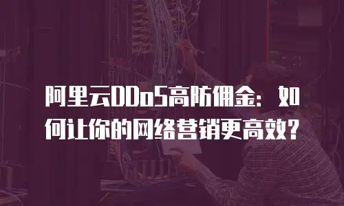 阿里云DDoS高防佣金：如何让你的网络营销更高效？
