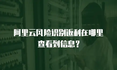阿里云风险识别返利在哪里查看到信息？