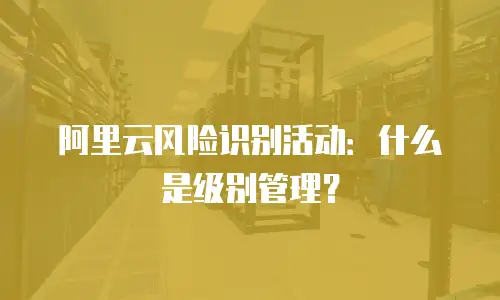 阿里云风险识别活动：什么是级别管理？