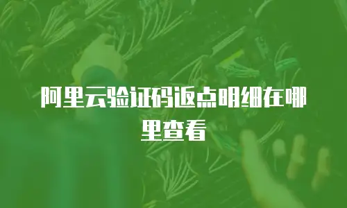 阿里云验证码返点明细在哪里查看