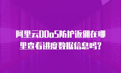 阿里云DDoS防护返佣在哪里查看进度数据信息吗？