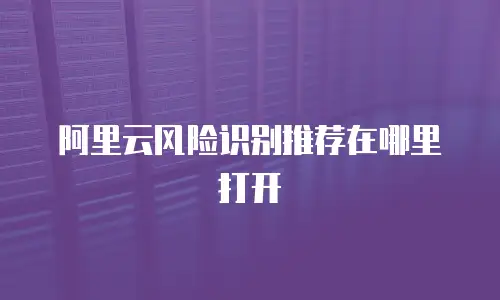 阿里云风险识别推荐在哪里打开