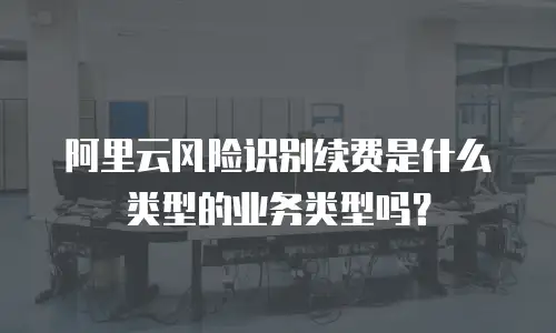 阿里云风险识别续费是什么类型的业务类型吗？