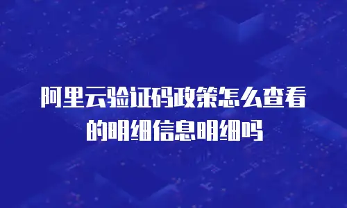 阿里云验证码政策怎么查看的明细信息明细吗