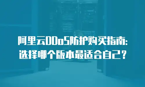 阿里云DDoS防护购买指南：选择哪个版本最适合自己？