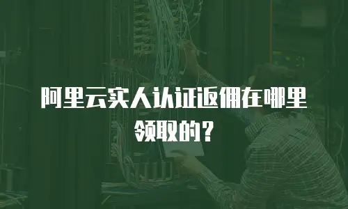 阿里云实人认证返佣在哪里领取的？