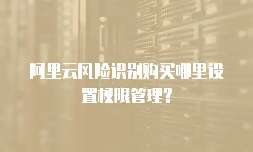 阿里云风险识别购买哪里设置权限管理？