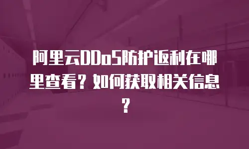 阿里云DDoS防护返利在哪里查看？如何获取相关信息？