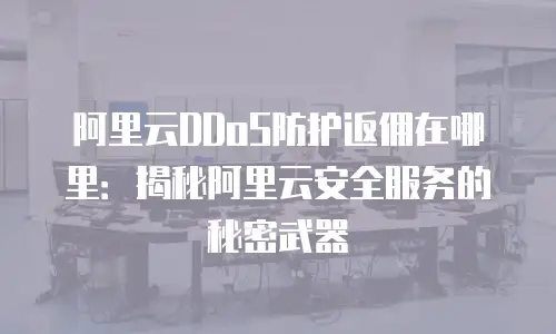 阿里云DDoS防护返佣在哪里：揭秘阿里云安全服务的秘密武器