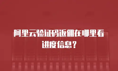 阿里云验证码返佣在哪里看进度信息？