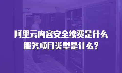 阿里云内容安全续费是什么服务项目类型是什么？