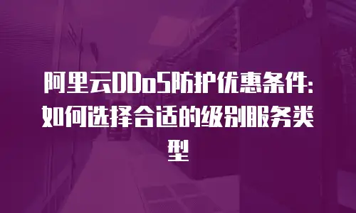 阿里云DDoS防护优惠条件：如何选择合适的级别服务类型