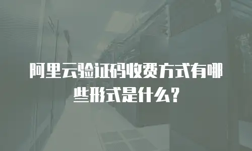 阿里云验证码收费方式有哪些形式是什么？
