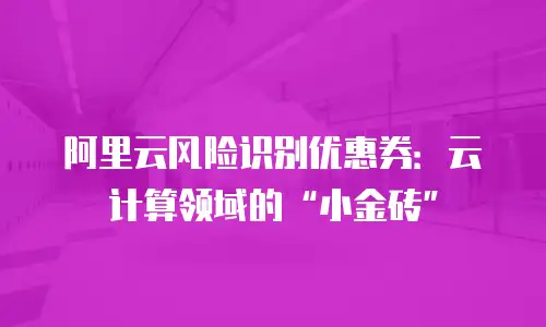 阿里云风险识别优惠券：云计算领域的“小金砖”