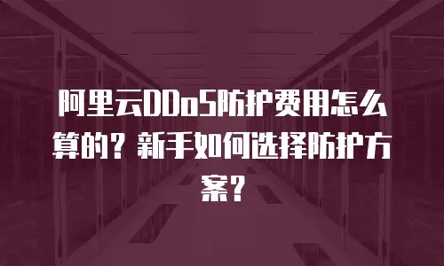 阿里云DDoS防护费用怎么算的？新手如何选择防护方案？