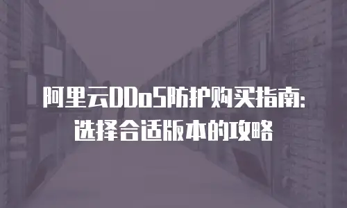 阿里云DDoS防护购买指南：选择合适版本的攻略