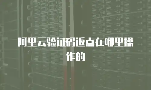 阿里云验证码返点在哪里操作的