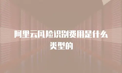 阿里云风险识别费用是什么类型的