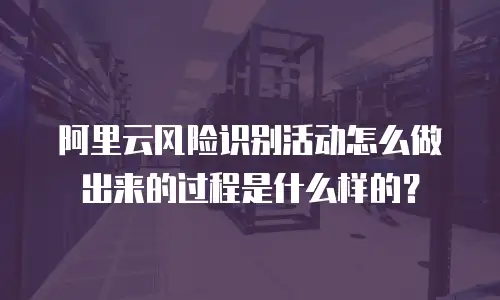 阿里云风险识别活动怎么做出来的过程是什么样的？