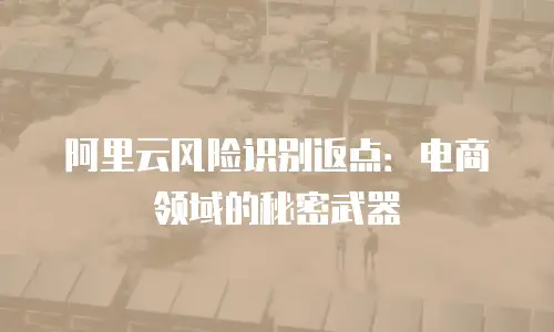 阿里云风险识别返点：电商领域的秘密武器