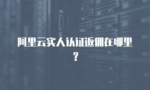 阿里云实人认证返佣在哪里？