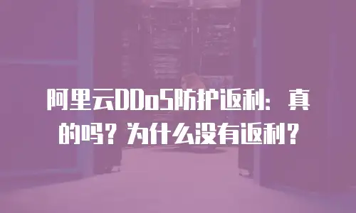阿里云DDoS防护返利：真的吗？为什么没有返利？