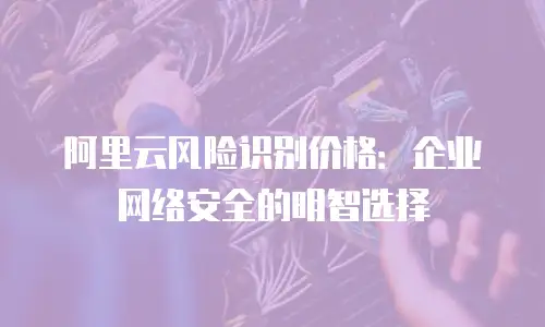 阿里云风险识别价格：企业网络安全的明智选择