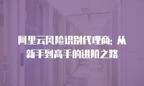 阿里云风险识别代理商: 从新手到高手的进阶之路