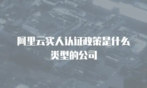 阿里云实人认证政策是什么类型的公司