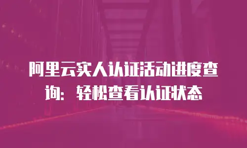 阿里云实人认证活动进度查询：轻松查看认证状态