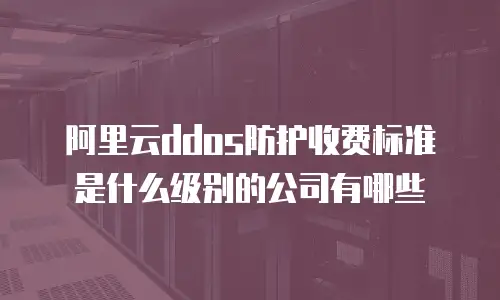 阿里云ddos防护收费标准是什么级别的公司有哪些