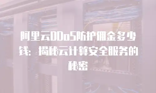 阿里云DDoS防护佣金多少钱：揭秘云计算安全服务的秘密