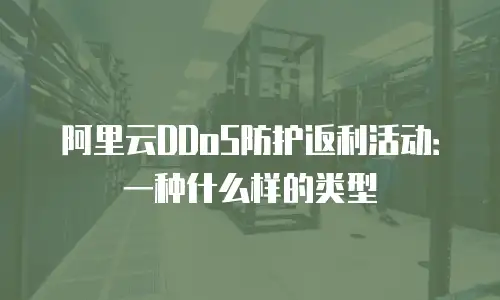 阿里云DDoS防护返利活动：一种什么样的类型