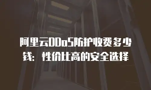 阿里云DDoS防护收费多少钱：性价比高的安全选择