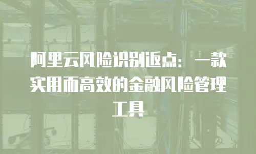 阿里云风险识别返点：一款实用而高效的金融风险管理工具