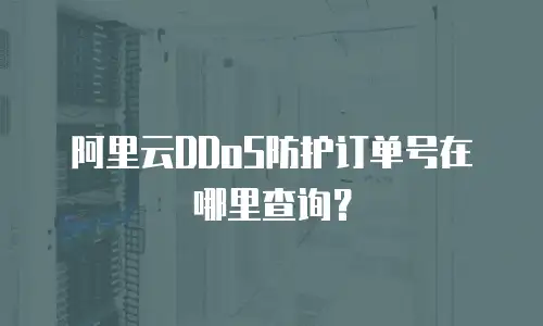 阿里云DDoS防护订单号在哪里查询？