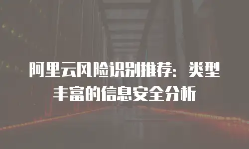 阿里云风险识别推荐：类型丰富的信息安全分析