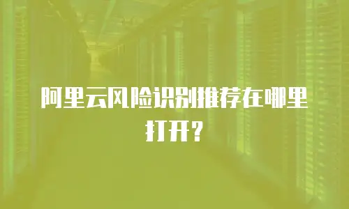 阿里云风险识别推荐在哪里打开？