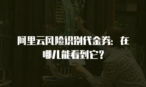 阿里云风险识别代金券：在哪儿能看到它？